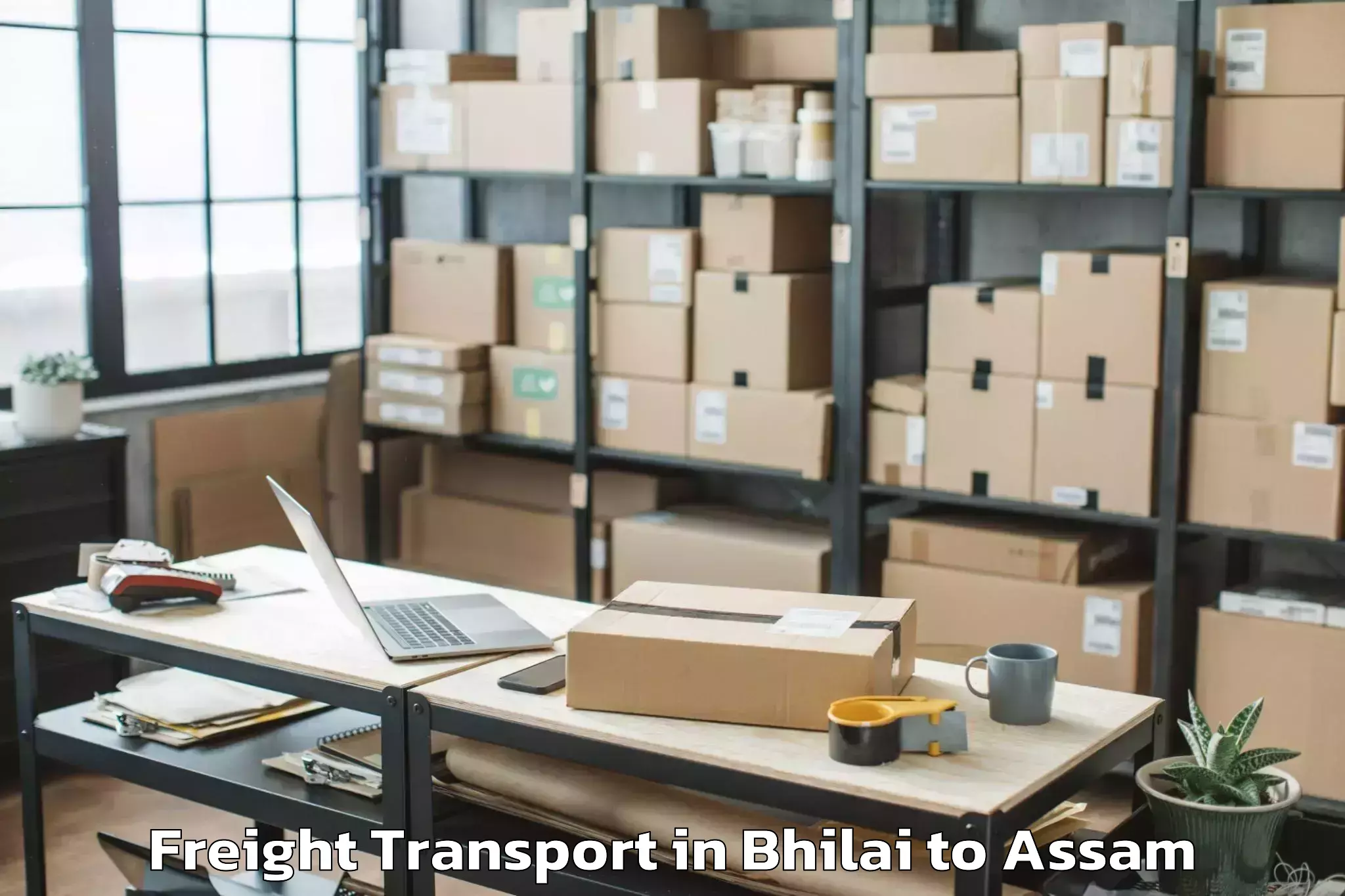 Hassle-Free Bhilai to Dibrugarh University Freight Transport